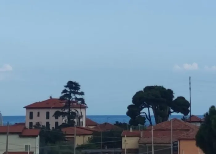 Dream House